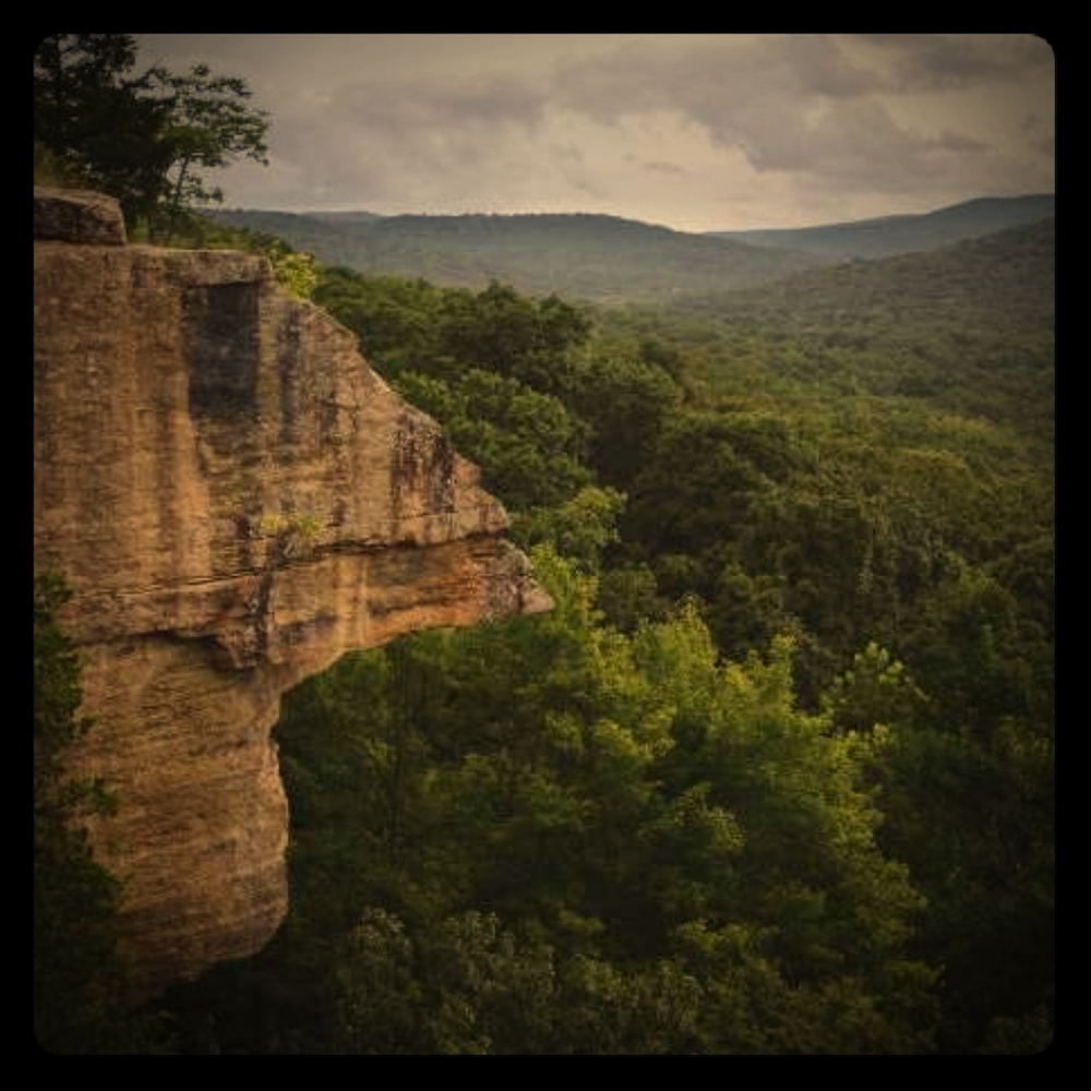 Jimbo & G - Posh' Mentor